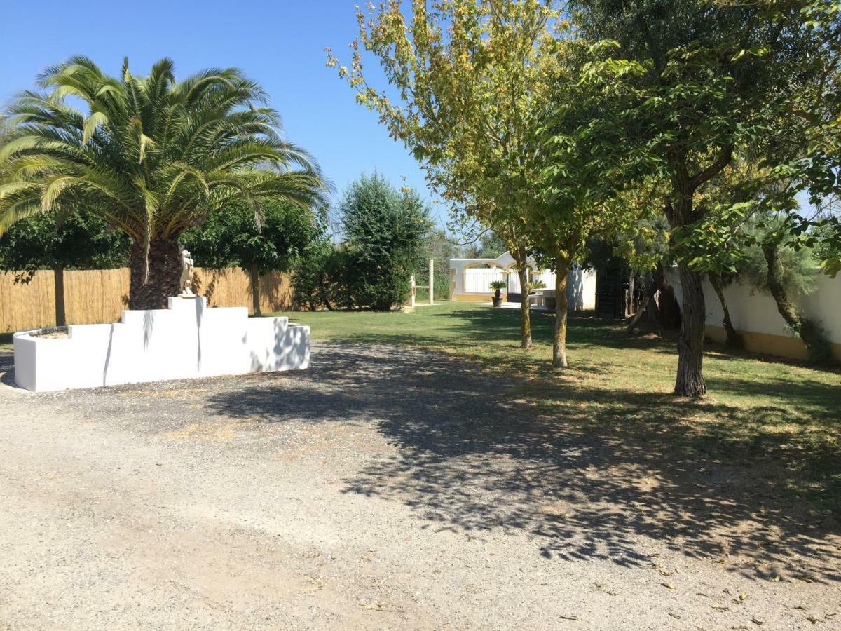 El Rocio 1 Gites Equestre Saintes-Maries-de-la-Mer Exterior foto